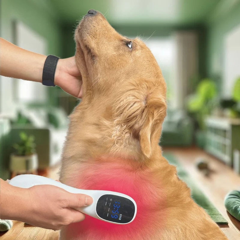 Dispositivo de terapia láser frío para perros y gatos
