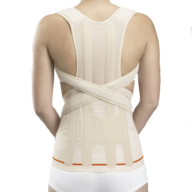 Orliman Evotec Dorso Lumbar Back Support