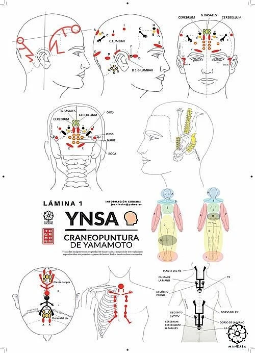 Lámina YNSA Craneopuntura de Yamamoto Lam1