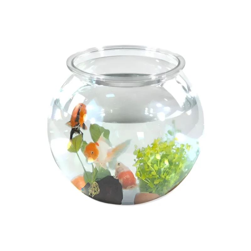 Pecera pequeña redonda | PET eco | 4L | Peces pequeños | Fácil limpieza | 20x20x17,5cm | Jardín acuático | Nemo | Mobiclinic