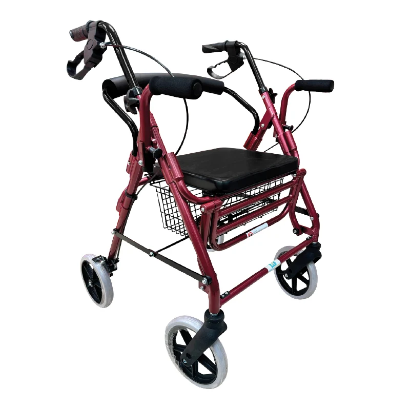 Andadera Rollator de Aluminio con Descansapies y Brazos Desarmables Bienstar BM8882L