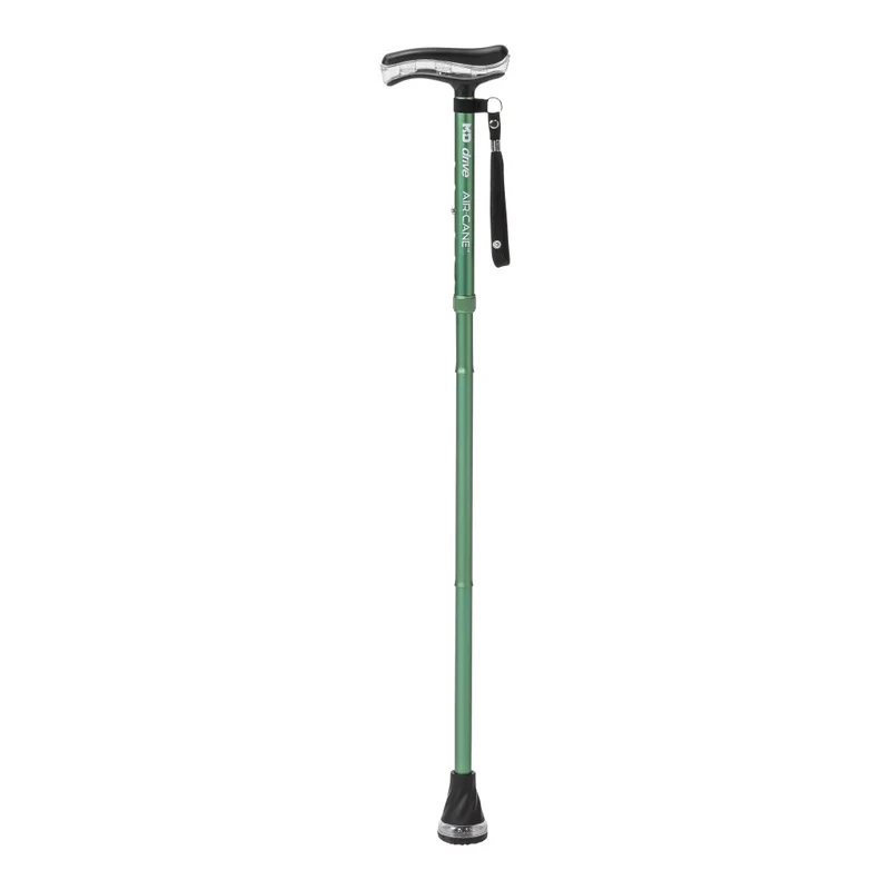 MD by Drive Air Cane, Forest