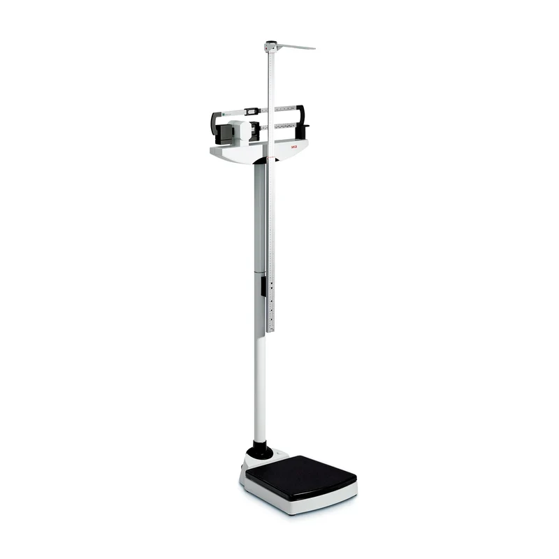 Báscula mecánica de columna seca® 700 con estadímetro