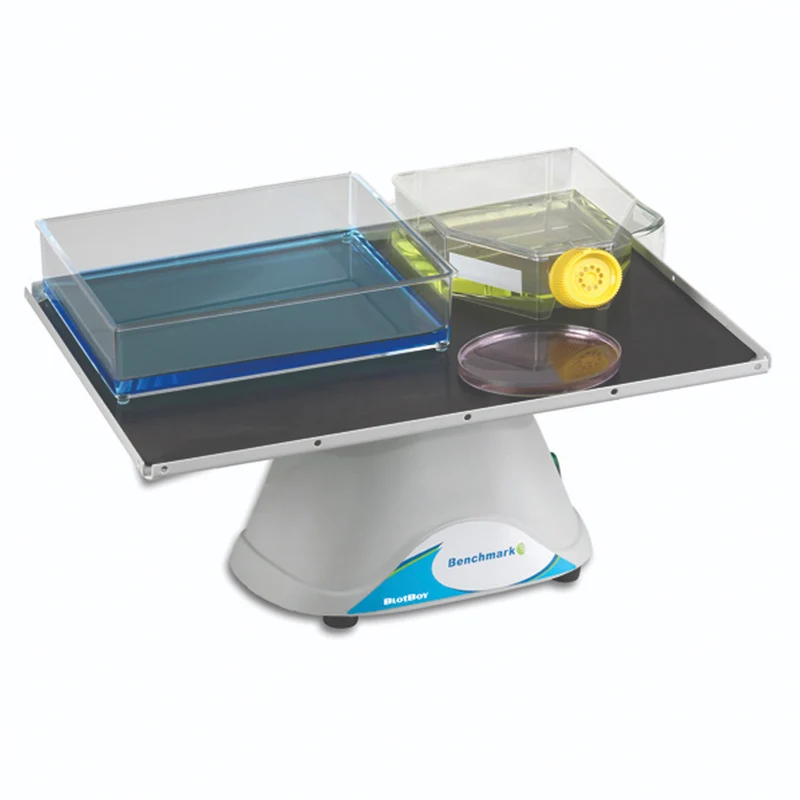 Benchmark Scientific® BlotBoy™ Fixed Speed 3D Rocker, B3D1308