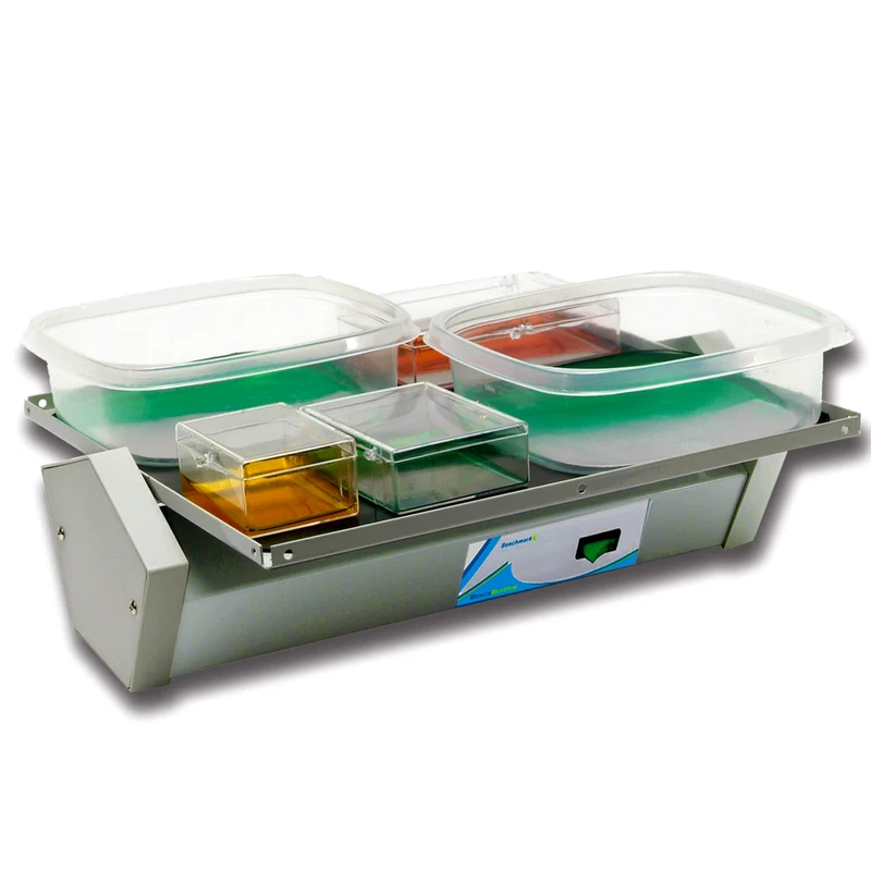 Benchmark Scientific® BenchBlotter™ Fixed Speed Rocker, BR1000
