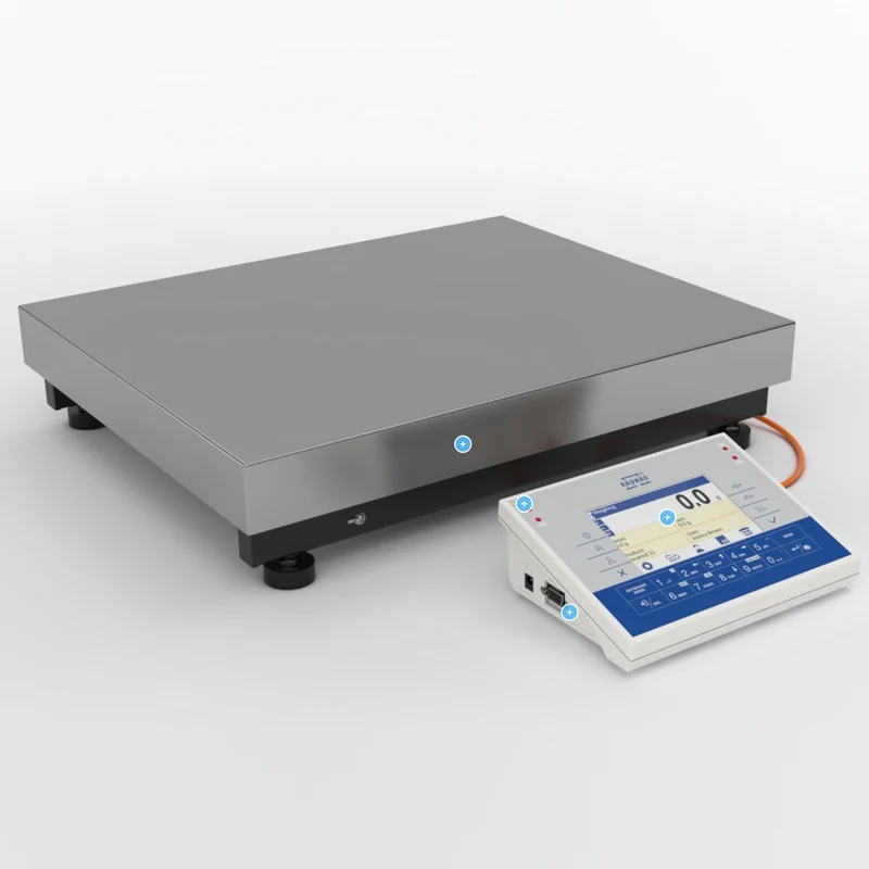 Radwag® C32.60.PM.1 Precision Balance, 60kg x 1g, WL-223-0012